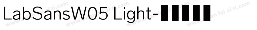 LabSansW05 Light字体转换